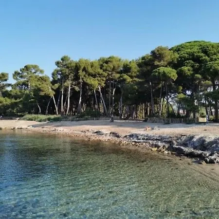 Equipe A 100m De La Plage, Clim, Terrasse, Parking, Wifi, Linge De Maison Inclus Apartment Saint-Mandrier-sur-Mer